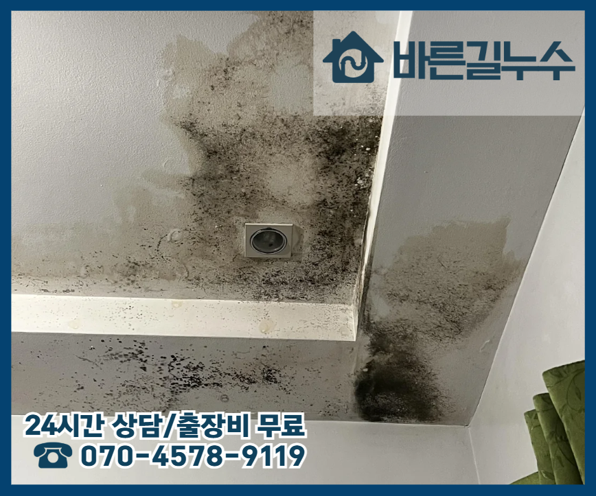 대동 아파트 누수 곰팡이