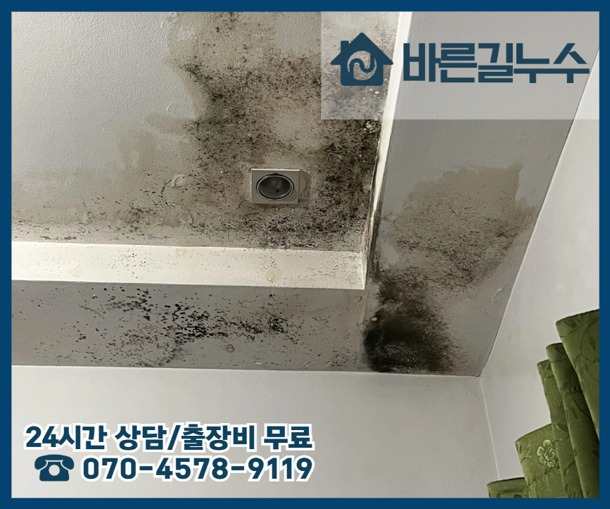 소제동 아파트 누수 곰팡이